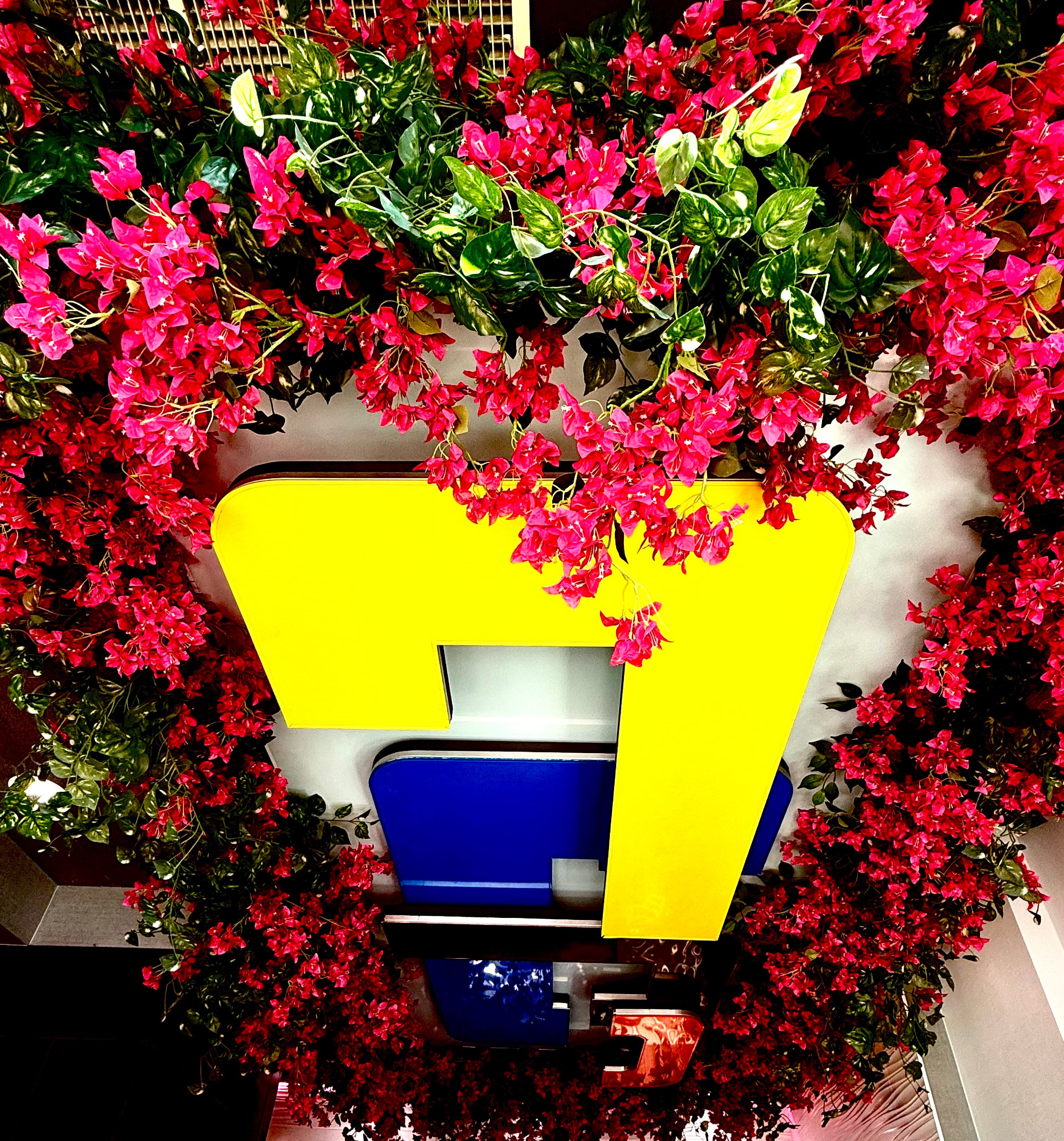 Umbrella Hotel Bronx