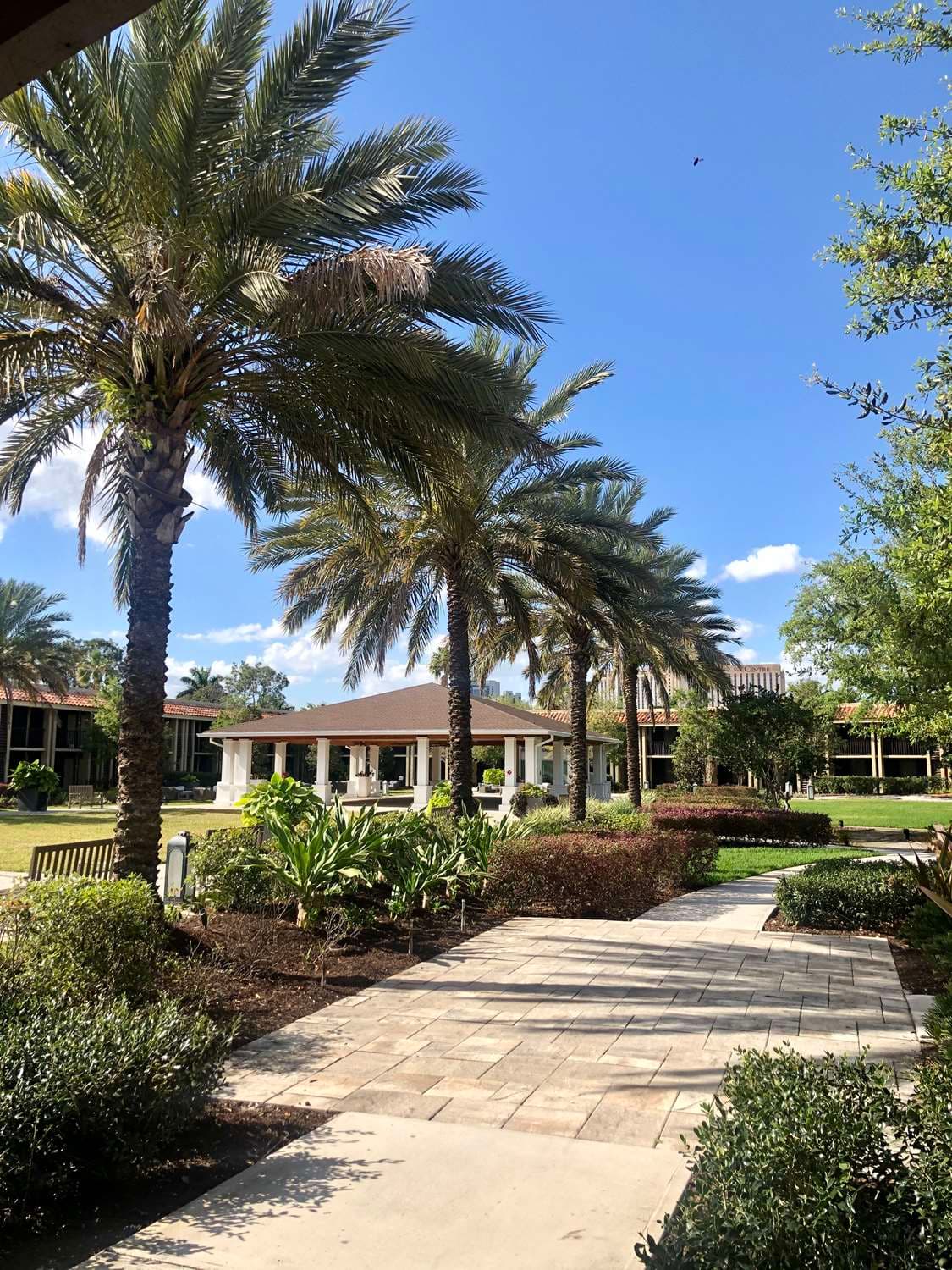 DoubleTree by Hilton Orlando Theme Park Resort