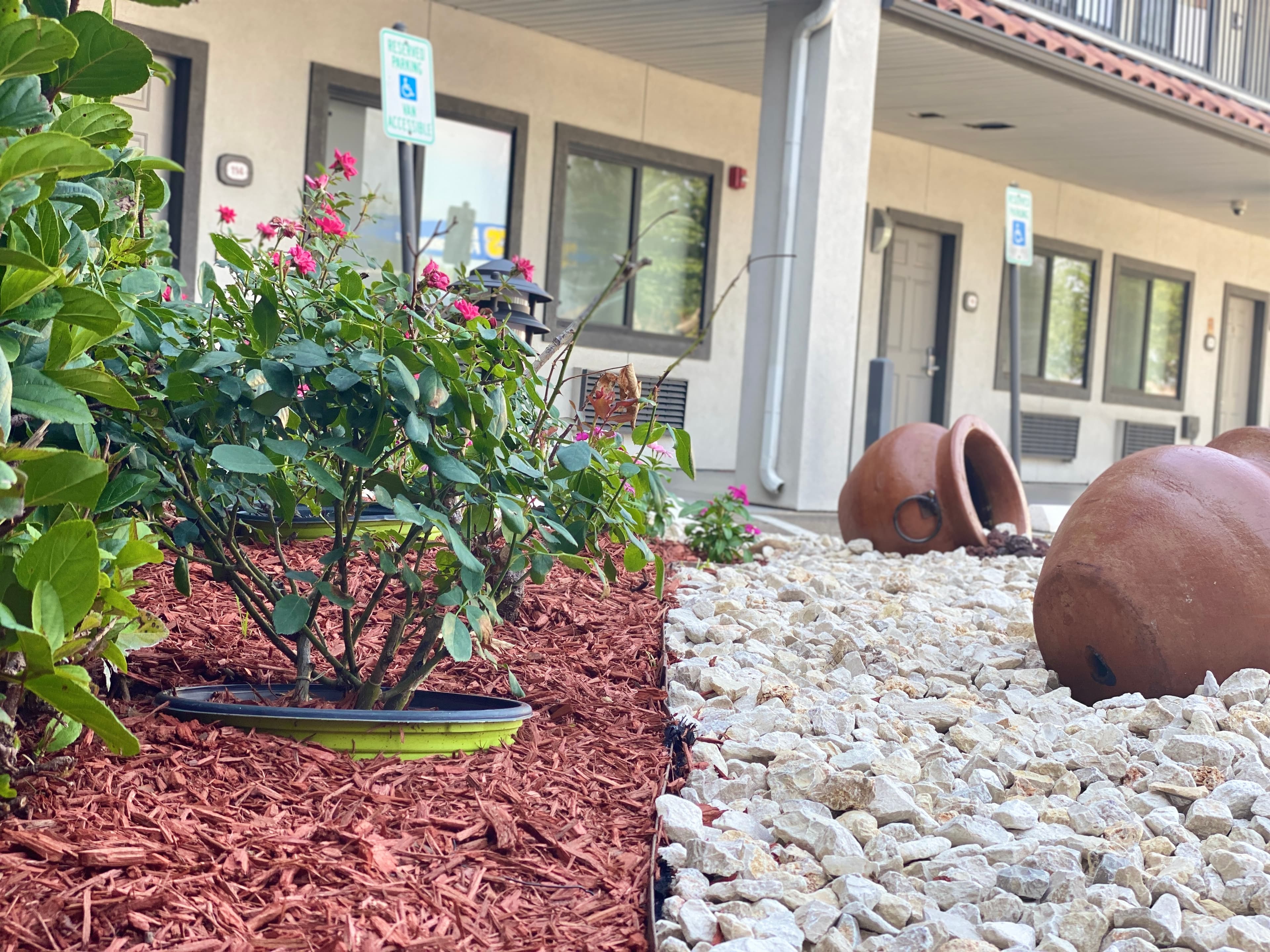 Island Suites Hobby Airport