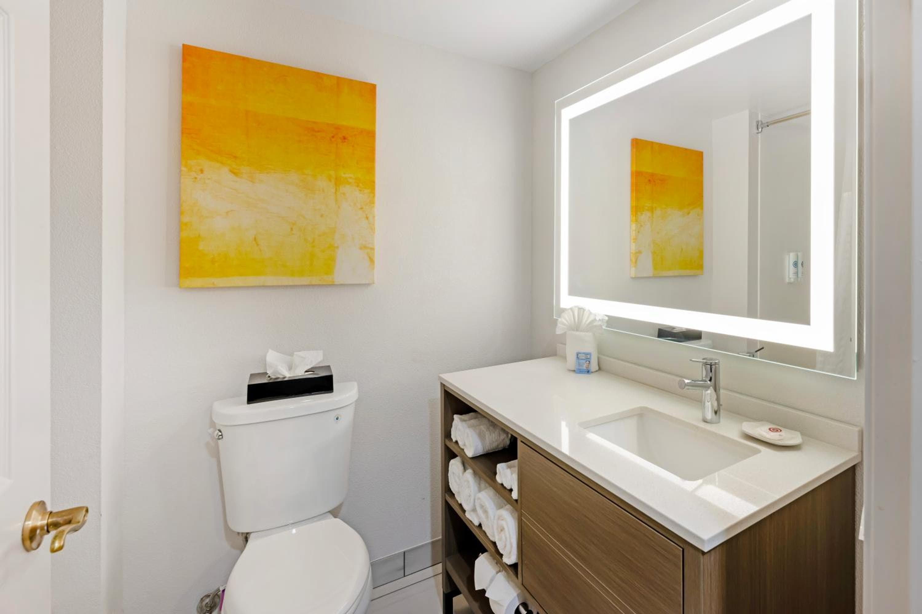 Comfort Inn & Suites Arlington Heights - Schaumburg