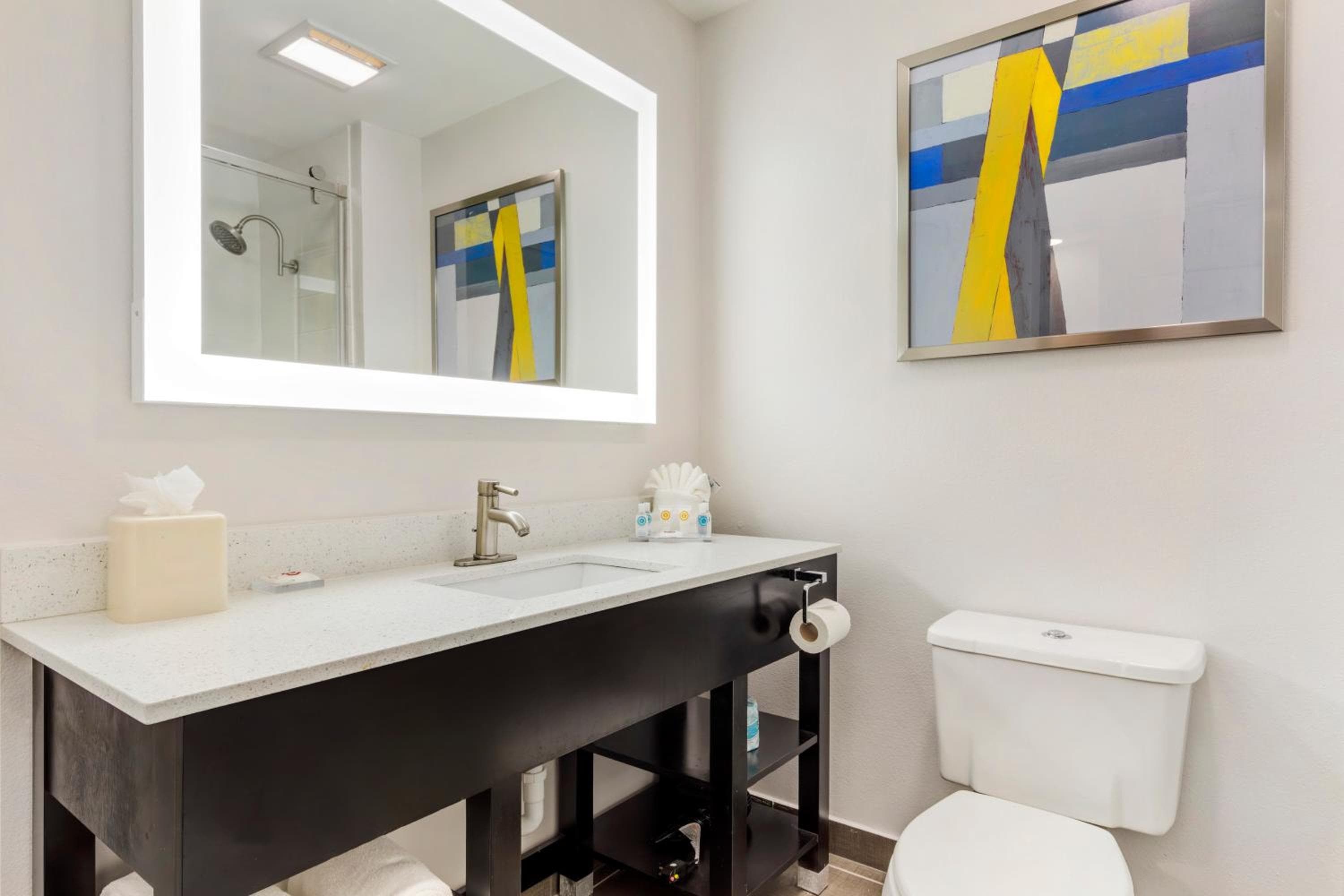 Comfort Inn & Suites Irving Las Colinas DFW